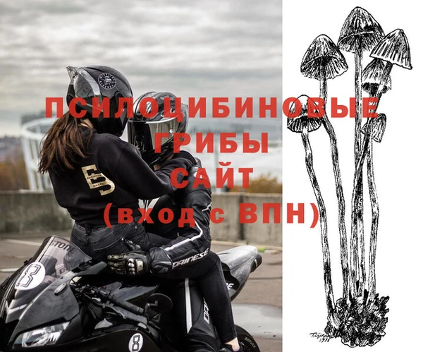 спайс Волоколамск