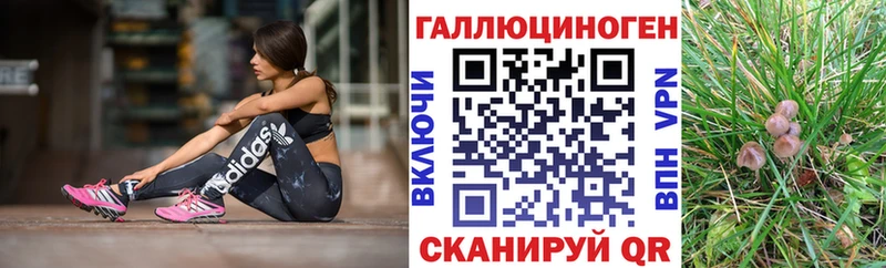 Галлюциногенные грибы ЛСД Стерлитамак
